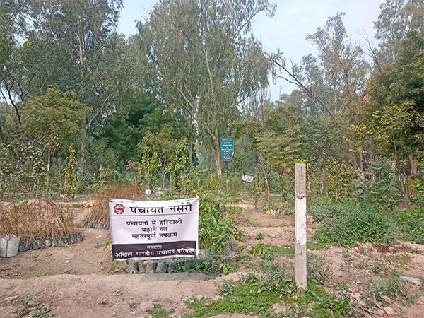 Panchayat nursery was inaugurated in order to spread the message of hariyali on the occasion of Lal Singh Tyagi's birth anniversary