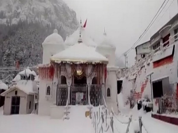 Temple premises of Gangotri Dham covered in thick snow amid heavy snowfall (Photo/ANI)