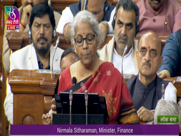 Nirmala Sitharaman in Parliament (Photo/Sansad TV)