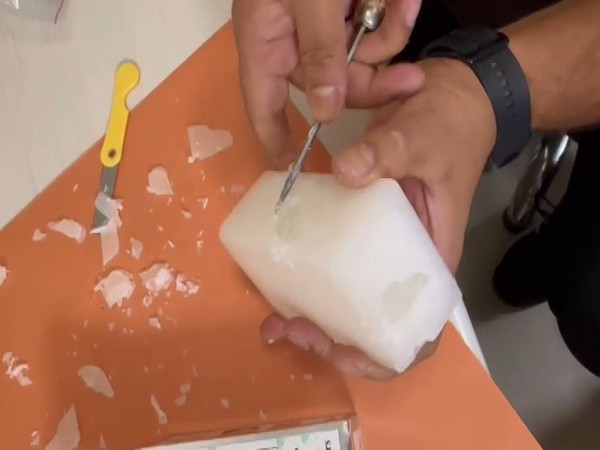 Visuals of the smuggled cocaine (Photo/ANI)