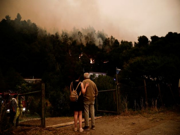 Wildfire burns parts of rural areas in Santa Juana, Chile. (Photo Credit - Reuters)