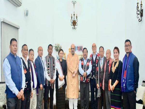 A delegation of Eastern Nagaland Peoples' Organization met Union Home Minister Amit Shah in Delhi last year (File Photo)
