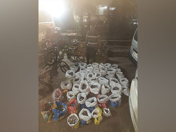 Seized coins (Photo/ANI)