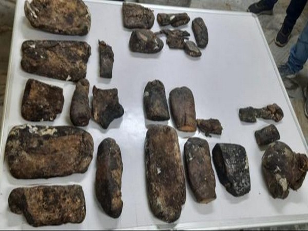 Suspected Ambergris seized by custom officials in Guwahati(Photo/ANI)