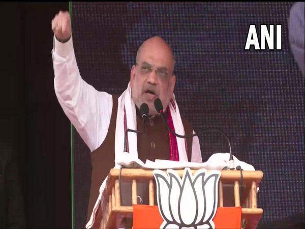 Union Home Minister Amit Shah (Photo/ANI)