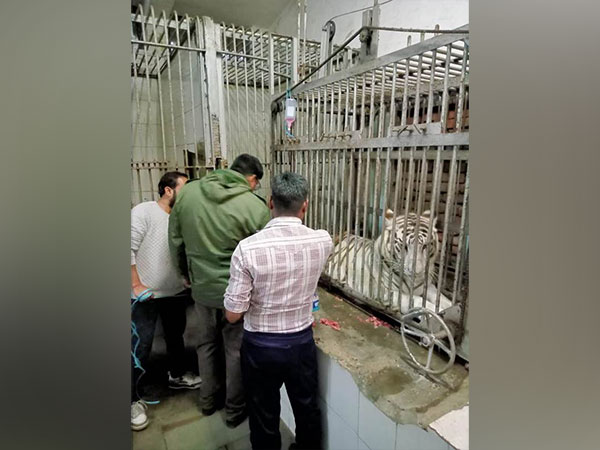 Visuals of Vina Rani (File Photo:PIB)