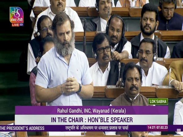 Congress leader Rahul Gandhi in Lok Sabha (Photo/Sansad TV)