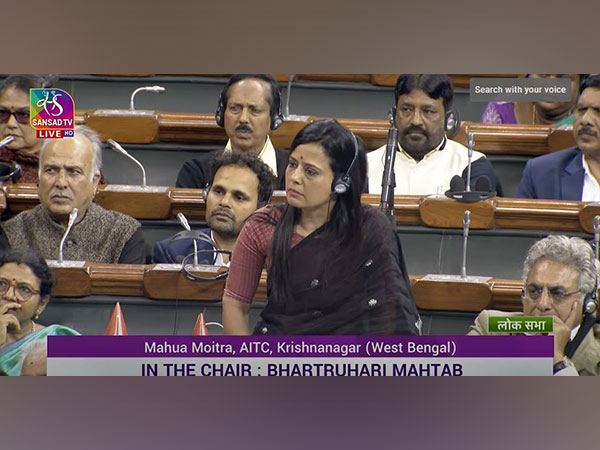 Trinamool Congress MP Mahua Moitra (Photo:Sansad TV)