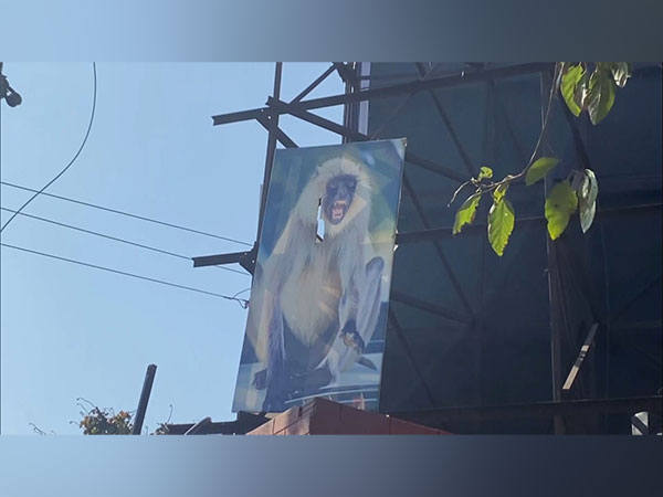 Poster of Black Langur at Moradabad Bus Station (Photo/ANI)