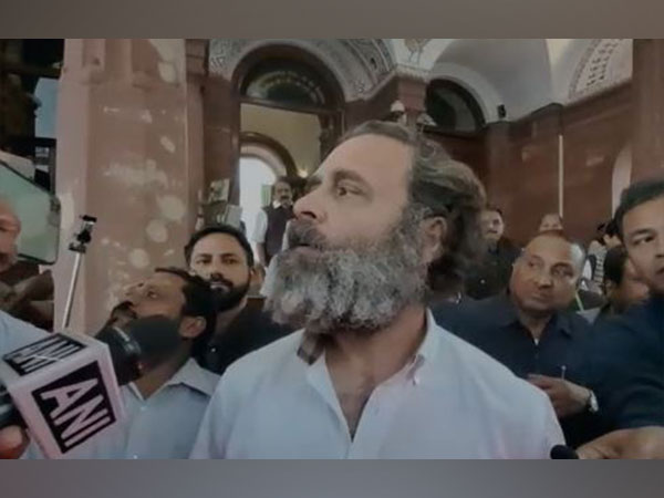 Congress leader Rahul Gandhi. (Photo/ANI)