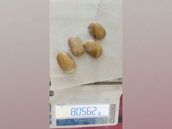 Gold seized in capsule form at the Kochi airport (Photo/ANI)