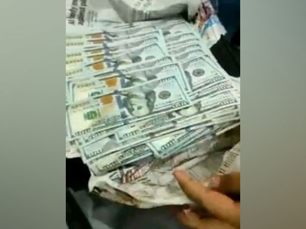 US Dollars seized at Mumbai Aiport (Photo/ANI) 