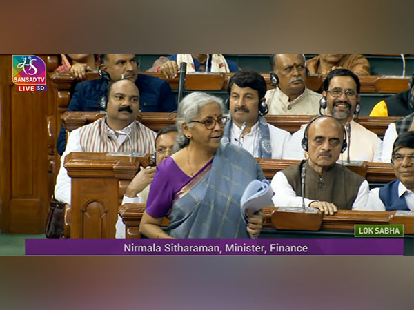 Union Finance Minister Nirmala Sitharaman (Photo:Sansad TV)