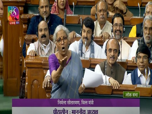 Union Finance Minister Nirmala Sitharaman (Photo:Sansad TV)
