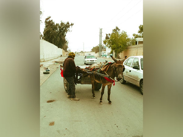 Representative Image (Source: pexels)