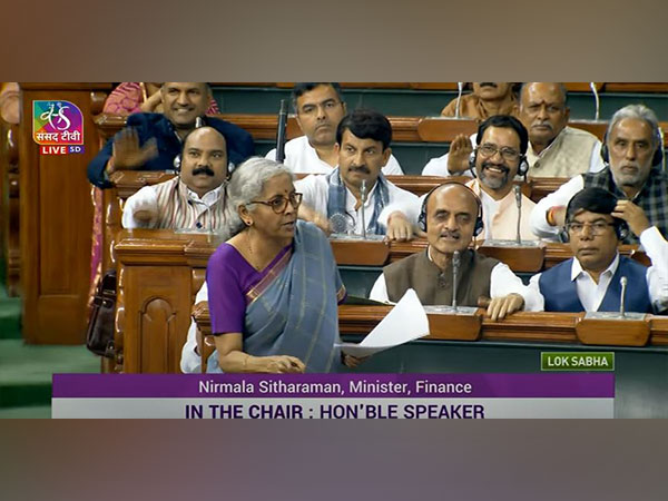 Union Finance Minister Nirmala Sitharaman (Photo:Sansad TV)