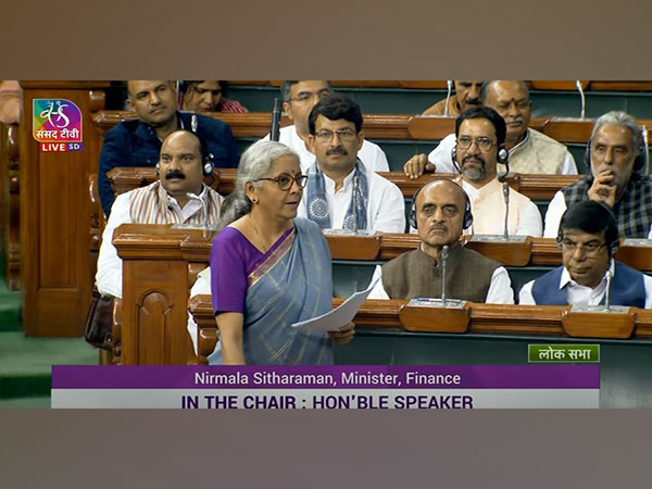 Union Finance Minister Nirmala Sitharaman (Photo:Sansad TV)