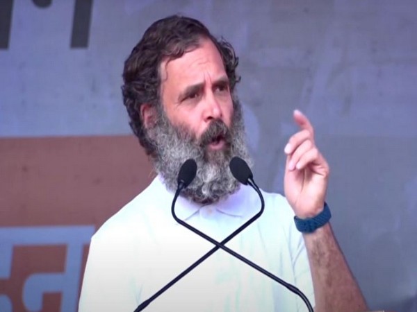 Congress leader Rahul Gandhi (Photo/ANI) 