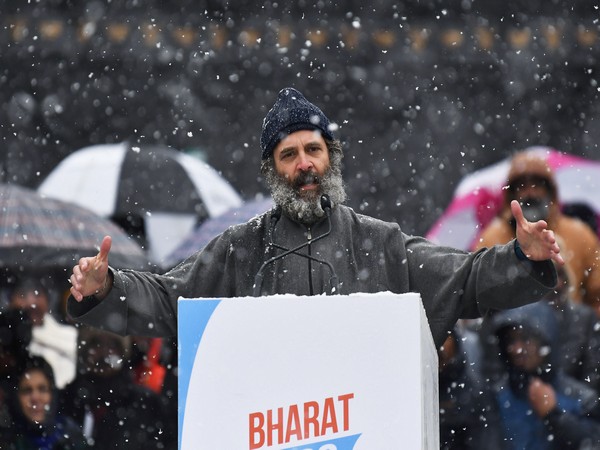 Rahul Gandhi in Srinagar during Bharat Jodo Yatra (File Photo/ANI)