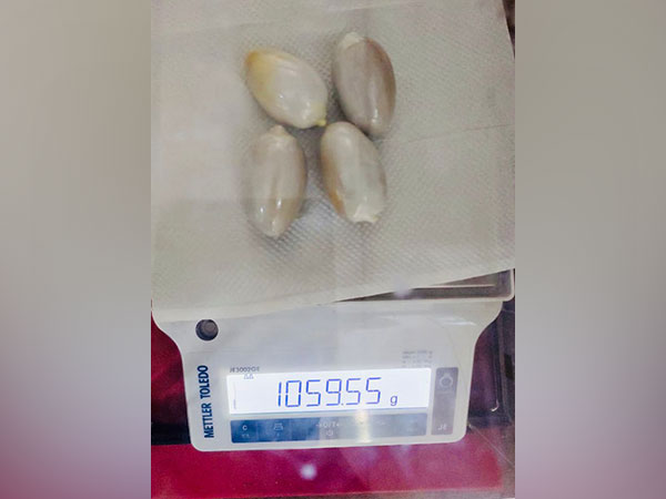 Gold capsule seized at Kochi airport 