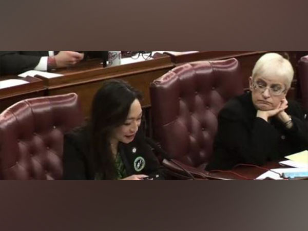 New York City Councilwoman Linda Lee (Image Credit: Twitter/@CMLindaLee)