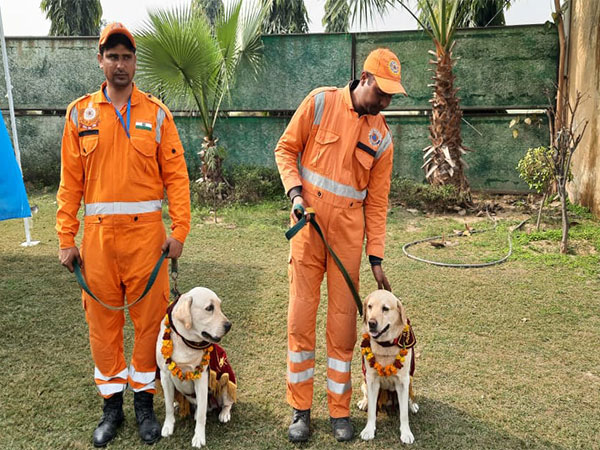NDRF members with dog squad members Rambo and Honey (Photo/ANI)