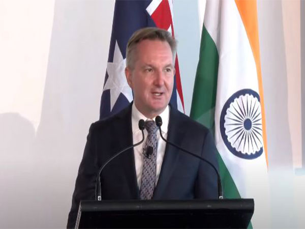 Minister for Industry, Energy and Emissions Reduction of Australia, Chris Bowen (Source: YouTube/MEA)