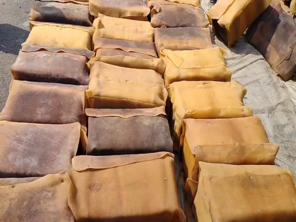 Visual of the seized ganja (Photo/ANI)