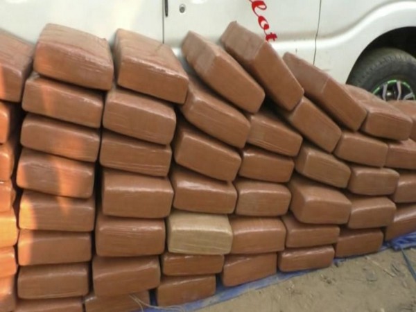 53 packets of Ganja, weighing 530 kg recovered in Assam (Photo/ANI)