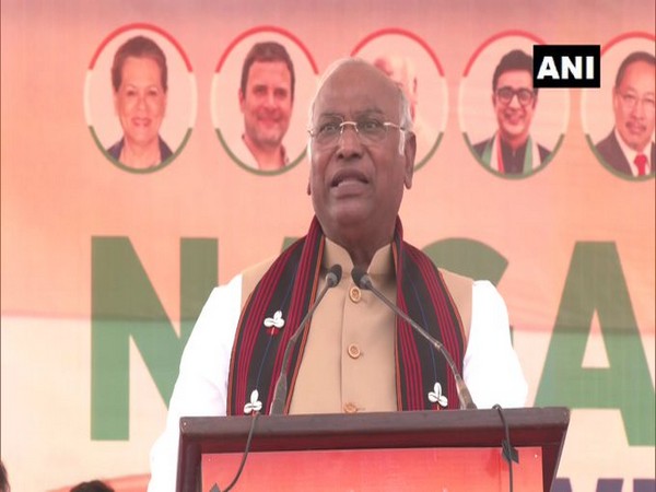 Congress president Mallikarjun Kharge (Photo/ANI)