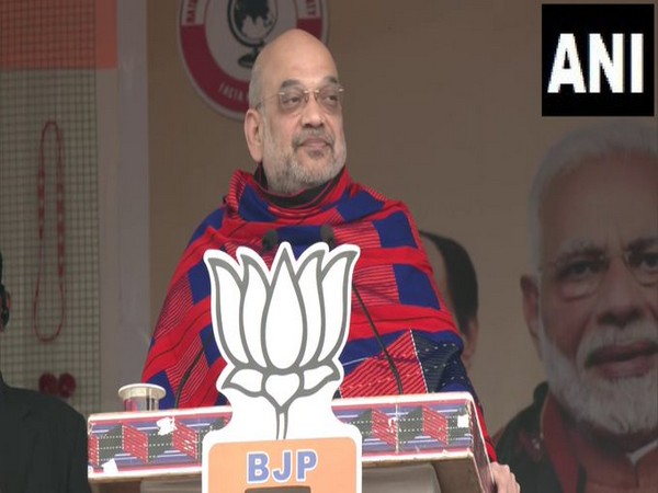 Union Home Minister Amit Shah (Photo/ANI)