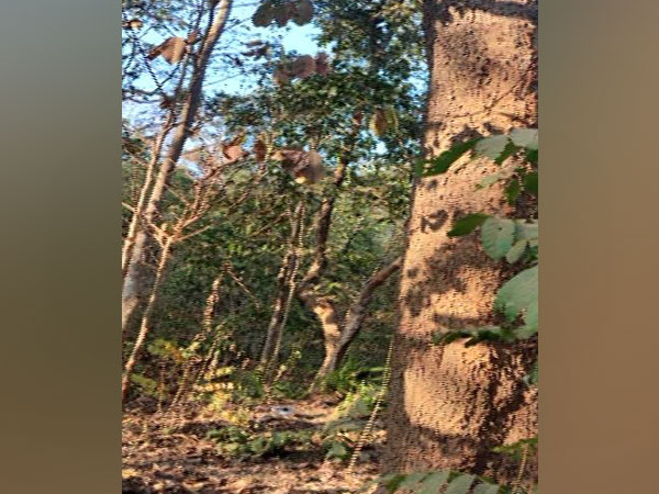 Visual from the spot (Photo/ANI)