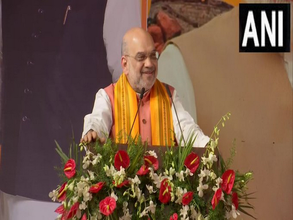 Union Home Minister Amit Shah (Photo/ANI)