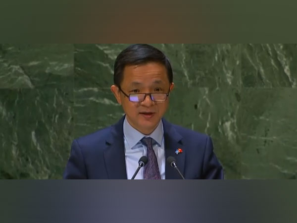China's deputy ambassador to the United Nations, Dai Bing (Screengrab from UN Web TV)