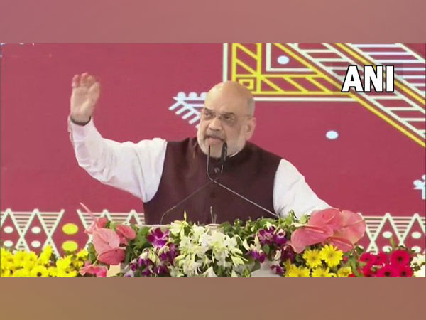 Union Home Minister Amit Shah (Photo/ANI)