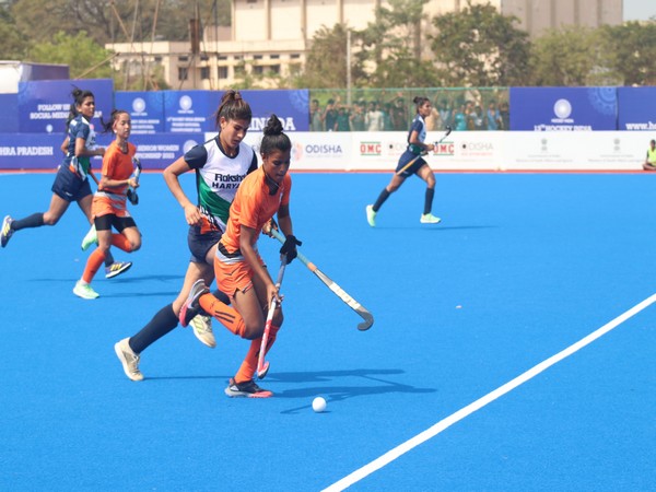 A visual from one of the matches. (Photo- Hockey India)