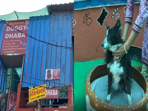 Visuals from Indore's Doggy Dhaba