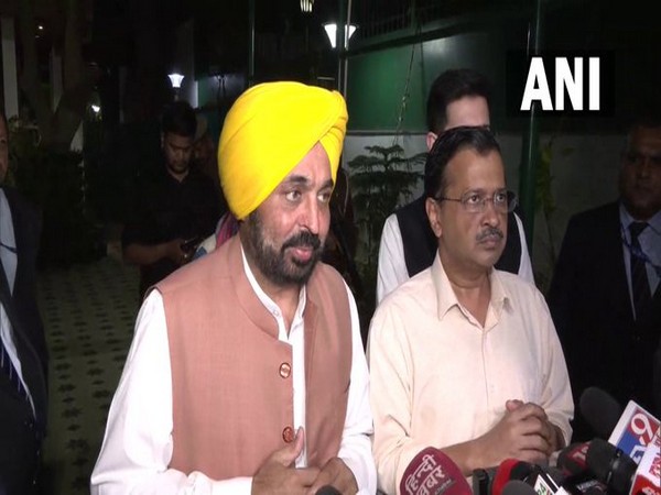 Punjab Chief Minister Bhagwant Mann (Photo/ANI)