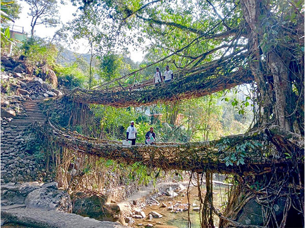 Poll officers walking on root bridges to reach polling stations (Photo Courtesy: ECI/Twitter)