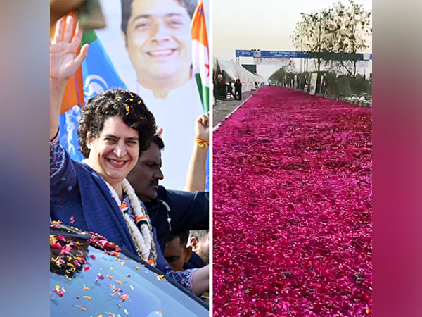(From Left) Priyanka Gandhi in Raipur and rose petals laid on the streets to welcome her (Photo/ANI)