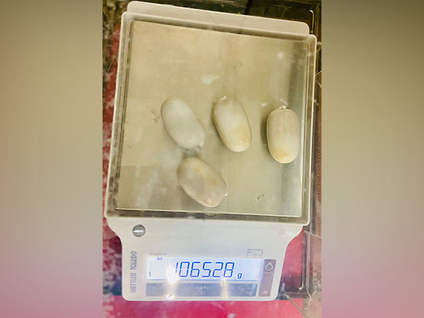 Customs seizes gold worth Rs 49 lakh at Kochi airport (Photo:ANI)