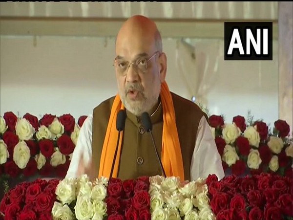 Union Home Minister Amit Shah (Photo/ANI)