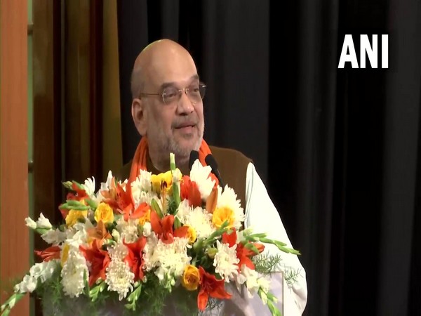 Union Home Minister Amit Shah (Photo/ANI)