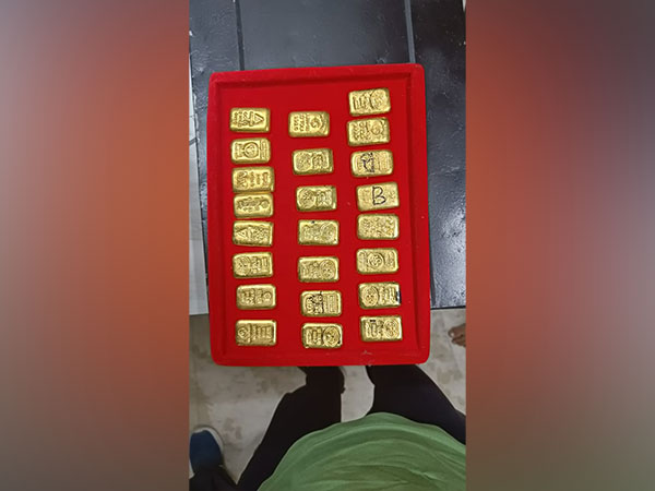 23 gold biscuits recovered by BSF (Photo/ANI) 
