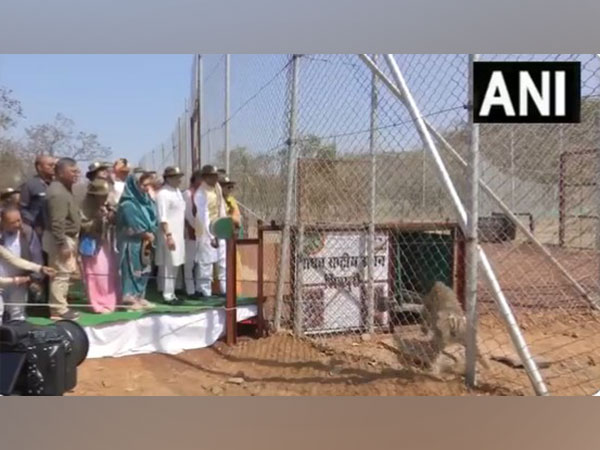 MP CM Shivraj Singh Chouhan and Union Minister Jyotiraditya Scindia releasing tiger at the park (Photo/ANI)