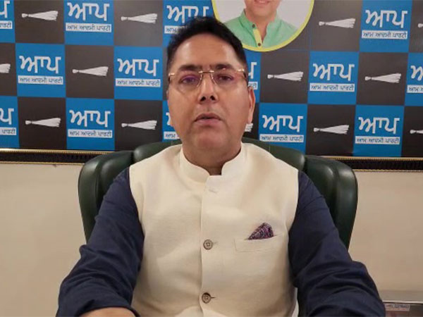 Punjab Housing and Urban Development Minister Aman Arora. (Photo: ANI)