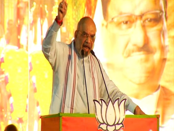 Union Home Minister Amit Shah (Photo:ANI)