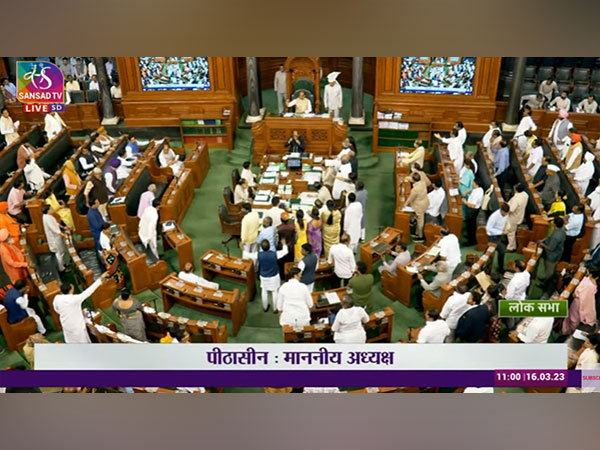 Visual from Lok Sabha (Picture Credits: Sansad TV) 
