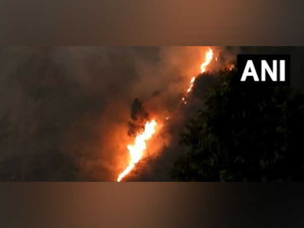 Forest fire broke out in Kodaikanal Forest area