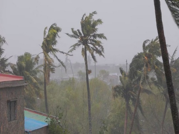 Trees sway vigoroulsy as Cyclone Freddy lashes Quelimane at Zambezi in Mozambique on March 12. (Image Credit: Reuters)